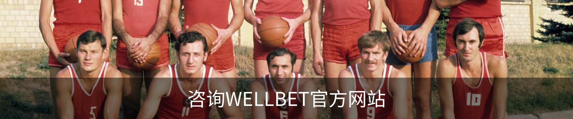 咨询WELLBET官方网站