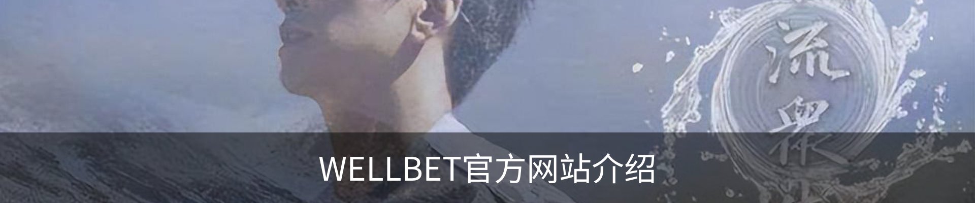 WELLBET官方网站介绍