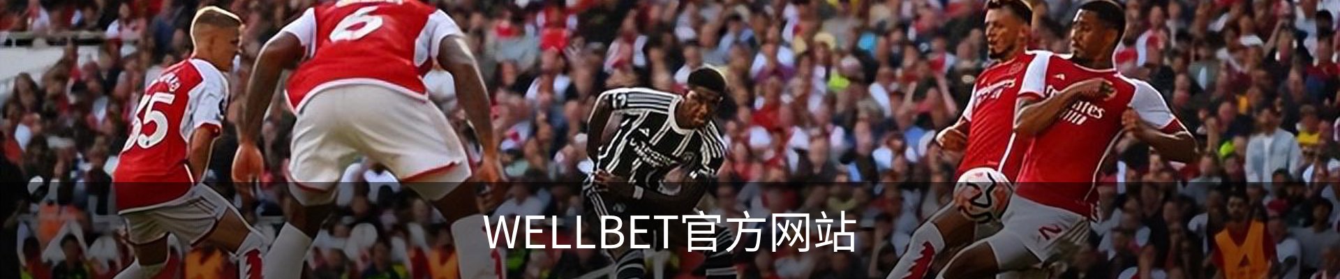 WELLBET官方网站